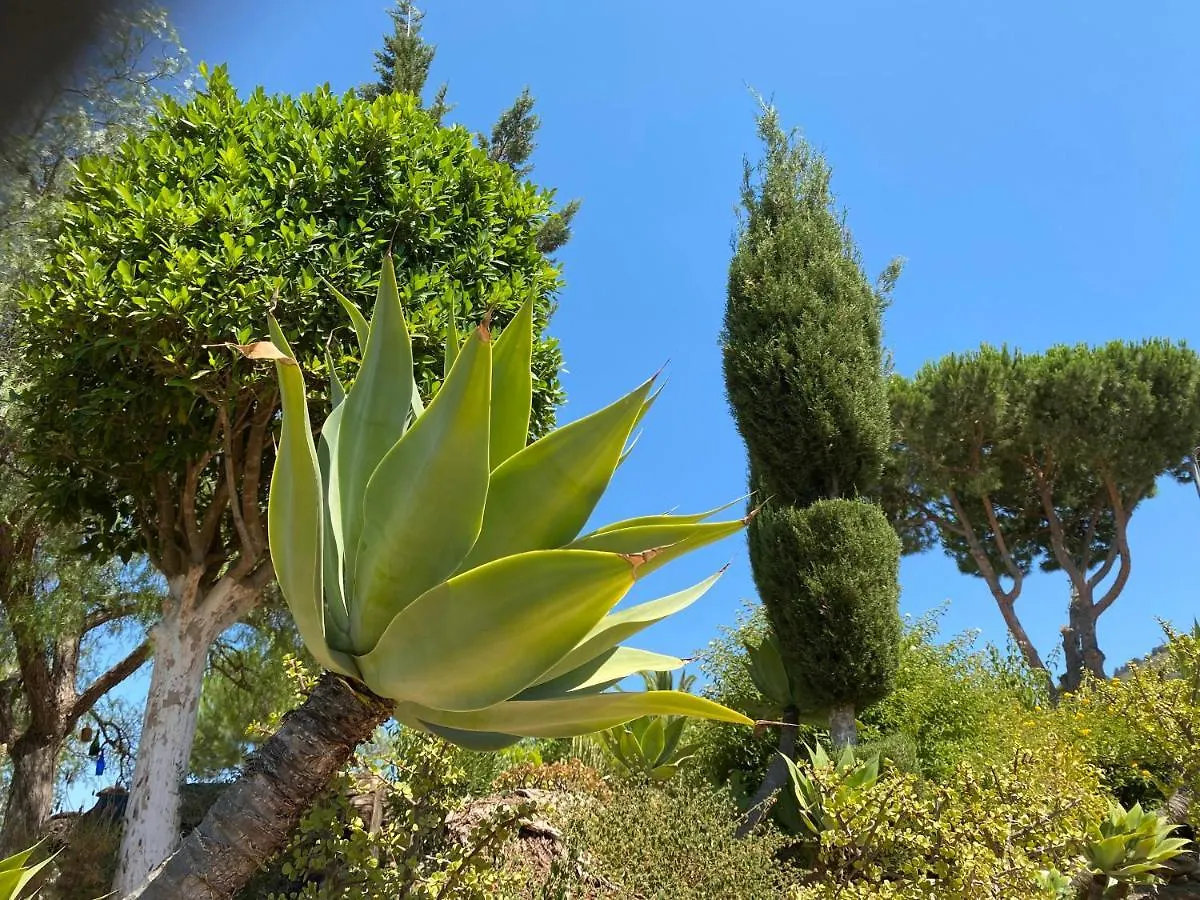 Detached Holiday House, 2 Bedrooms, Private Garden, Pool Alhaurin de la Torre Holiday home