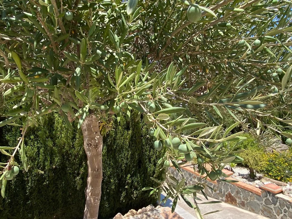 Detached Holiday House, 2 Bedrooms, Private Garden, Pool Alhaurin de la Torre Holiday home